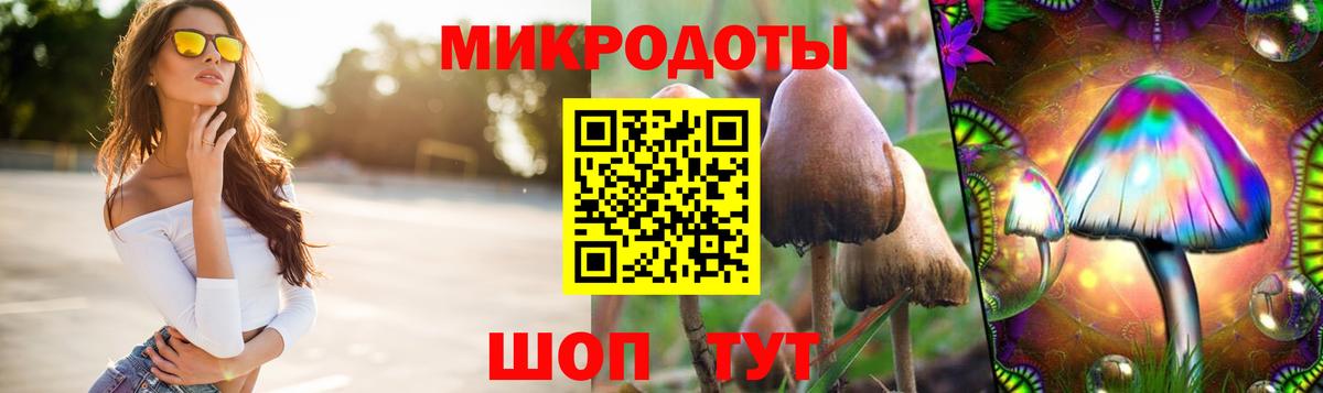 Псилоцибиновые грибы ЛСД  Вход с VPN  дарнет шоп  Дзержинский 